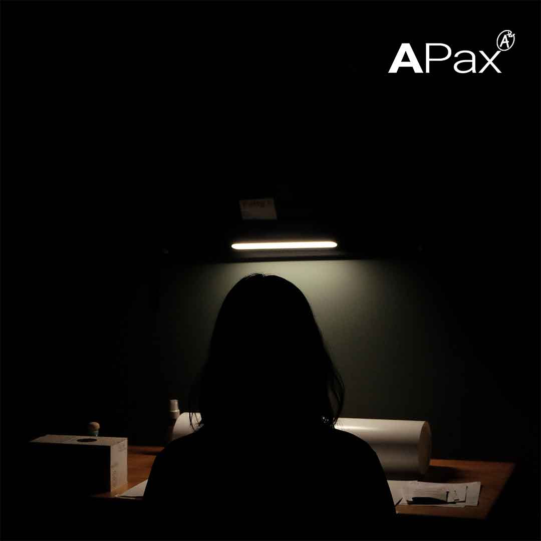 APax Project Manager